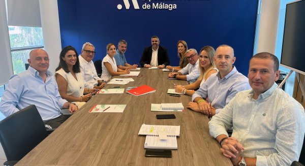 El PSOE solicita la celebración de un pleno extraordinario en la Diputación para abordar el colapso de la sanidad pública malagueña