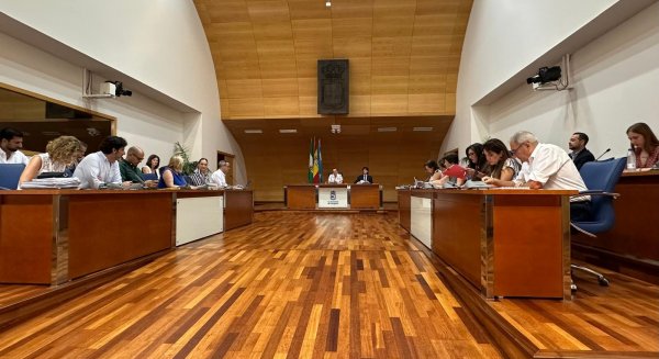 Fuengirola exige al Gobierno más medios materiales, humanos y técnicos para combatir el crimen organizado