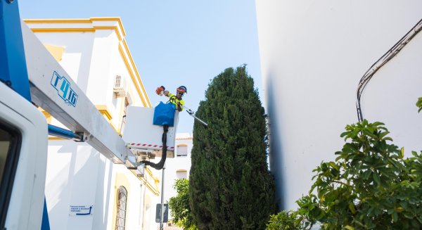San Pedro Alcántara refuerza el cuidado de sus zonas verdes para combatir el calor 