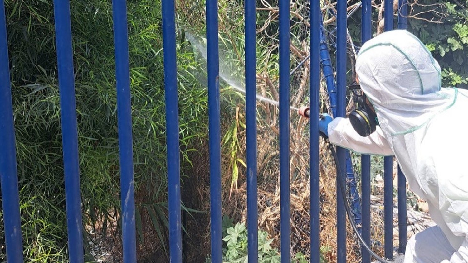 Torrox refuerza el control de plagas con tratamientos específicos contra mosquitos e insectos
