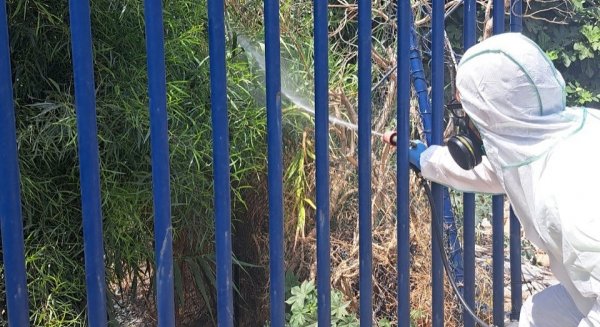 Torrox refuerza el control de plagas con tratamientos específicos contra mosquitos e insectos
