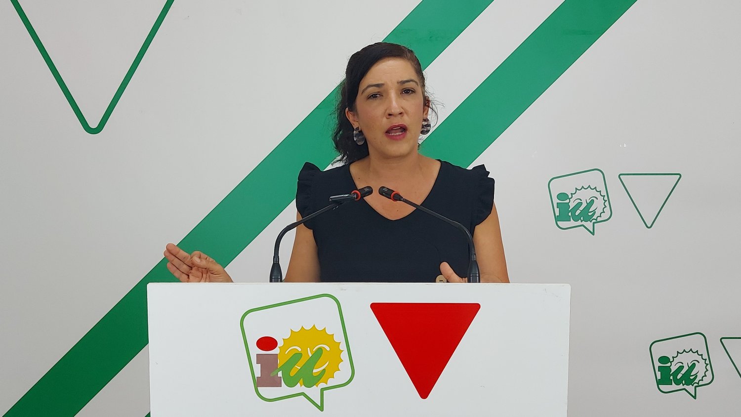 IU exige medidas urgentes contra la “plaga” de viviendas turísticas en Málaga