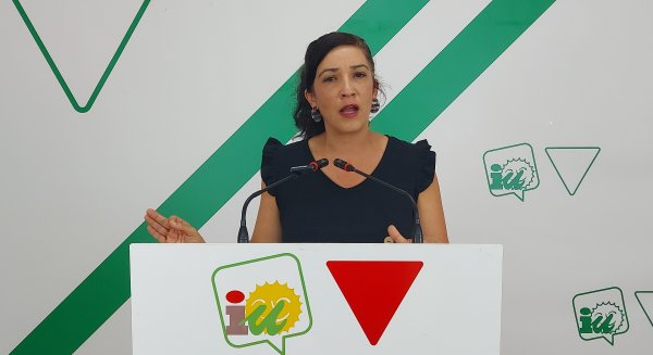 IU exige medidas urgentes contra la “plaga” de viviendas turísticas en Málaga