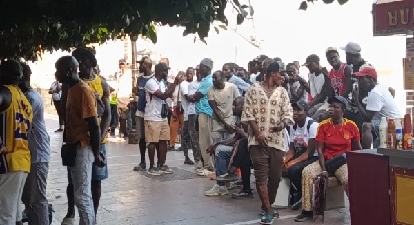 VOX denuncia la creciente agresividad de los manteros en Marbella y reclama su expulsión