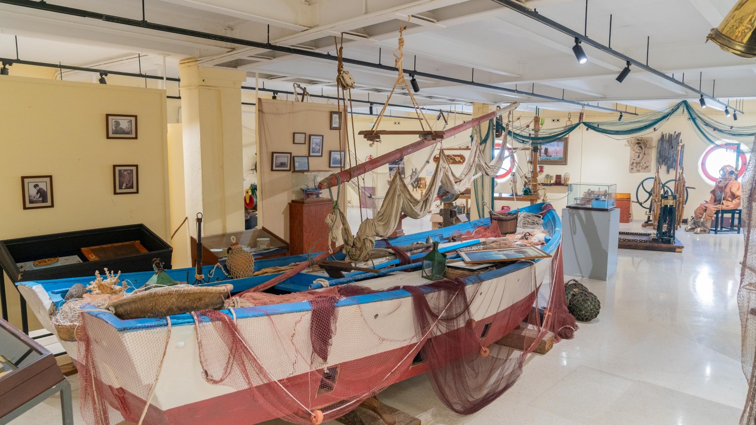 Estepona recreará una pradera marina de posidonias en una sala inmersiva del Museo Etnográfico