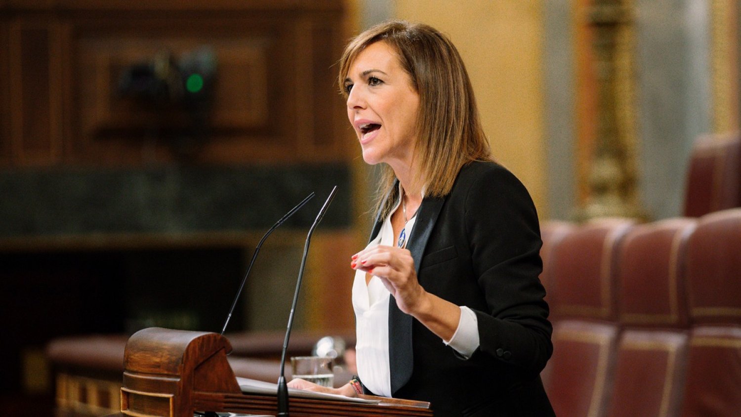Vox registra en el Congreso una PNL para exigir un plan especial de lucha contra el mercado ilícito de armas tras el tiroteo en Estepona