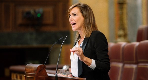 Vox registra en el Congreso una PNL para exigir un plan especial de lucha contra el mercado ilícito de armas tras el tiroteo en Estepona