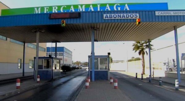 MERCAMÁLAGA supera las 150 mil toneladas en el primer semestre de 2025 