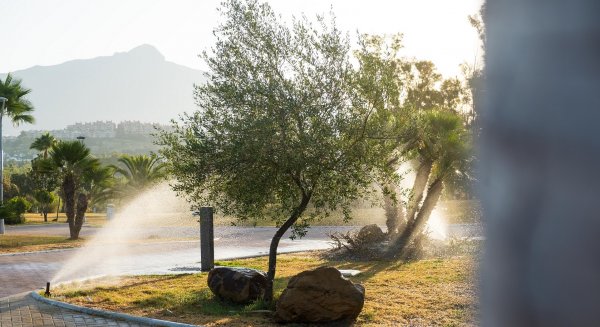 San Pedro Alcántara impulsa la renovación integral del Parque de los Tres Jardines tras reparar el sistema de riego