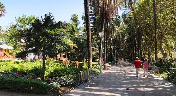 El Ayuntamiento de Málaga impulsa la elaboración de un plan para definir la estrategia para incrementar y conectar las zonas verdes de la ciudad