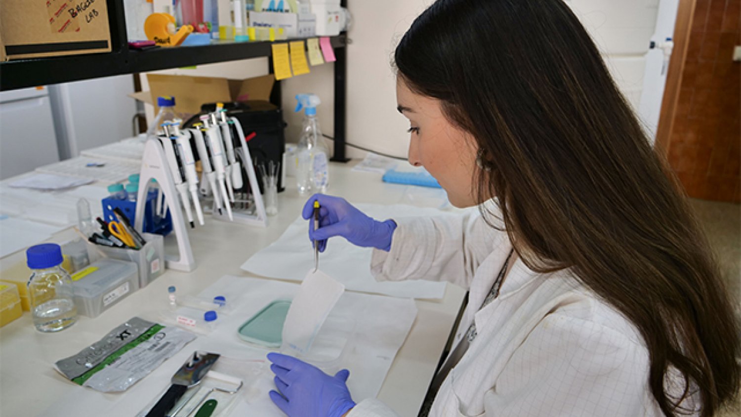 La UMA consigue más de 10 millones de euros de fondos para la investigación procedentes del Plan Nacional