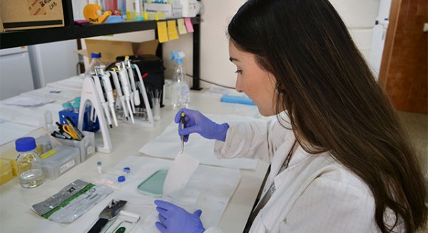 La UMA consigue más de 10 millones de euros de fondos para la investigación procedentes del Plan Nacional