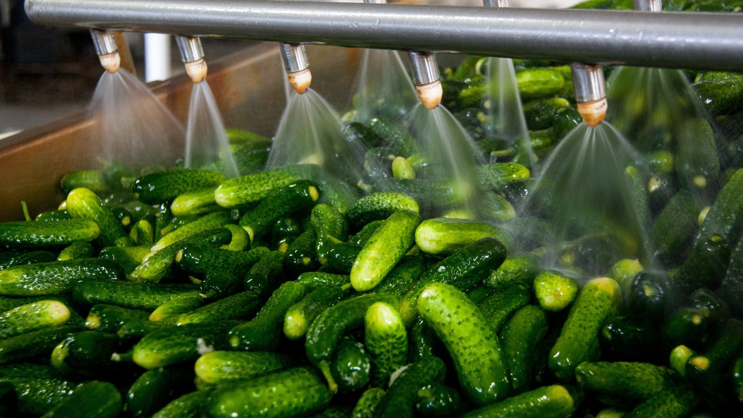 Las exportaciones hortofrutícolas crecen un 11% y superan los 4.555 millones de euros entre enero y mayo de 2025