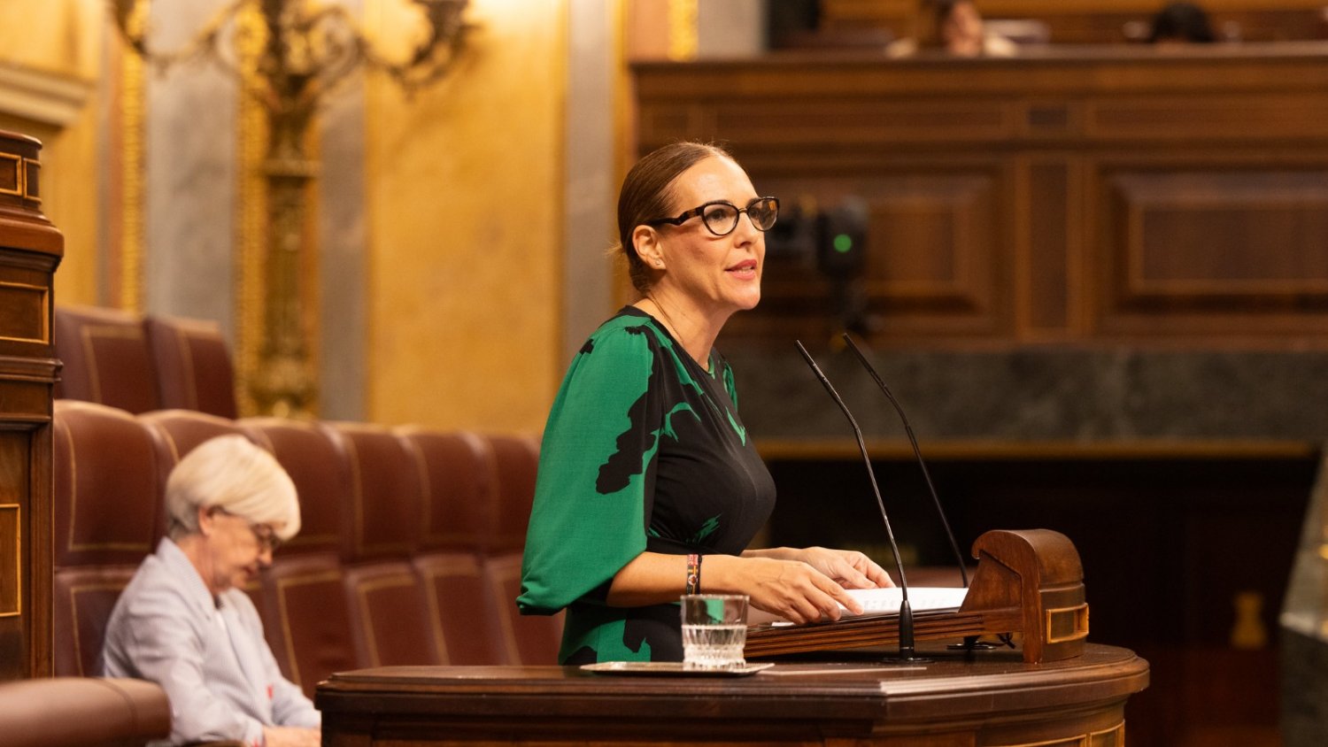 Vox, tras el último Balance de Criminalidad: 'El crimen organizado está dejando un reguero de sangre en la Costa del Sol'