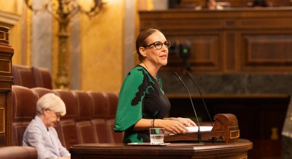Vox, tras el último Balance de Criminalidad: 'El crimen organizado está dejando un reguero de sangre en la Costa del Sol'