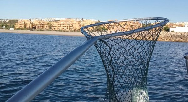 Aumentan en agosto de los residuos recogidos en las aguas costasoleñas