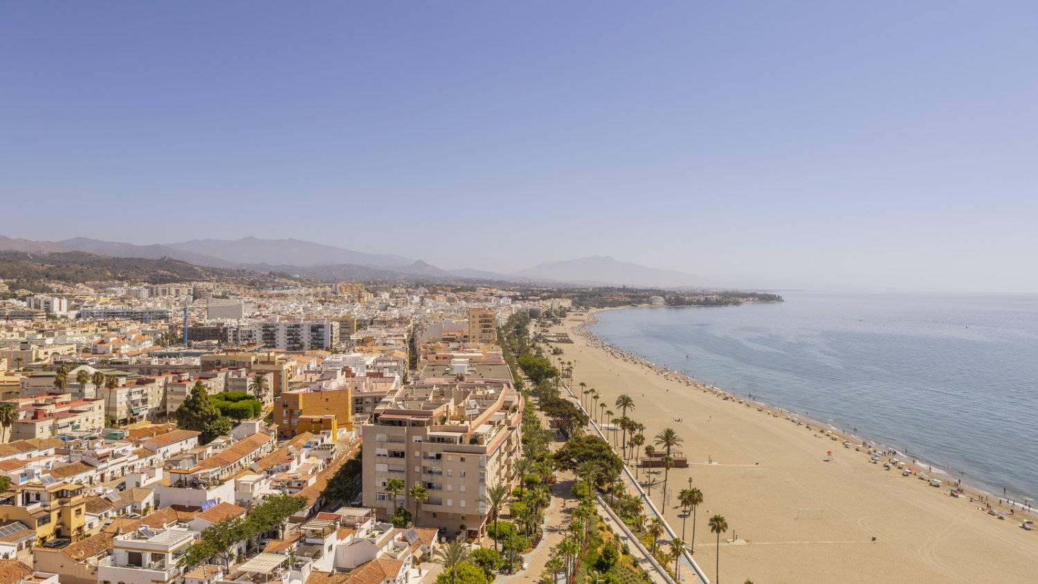 El Ayuntamiento de Estepona licita el servicio de rescate y protección animal para ampliar su cobertura