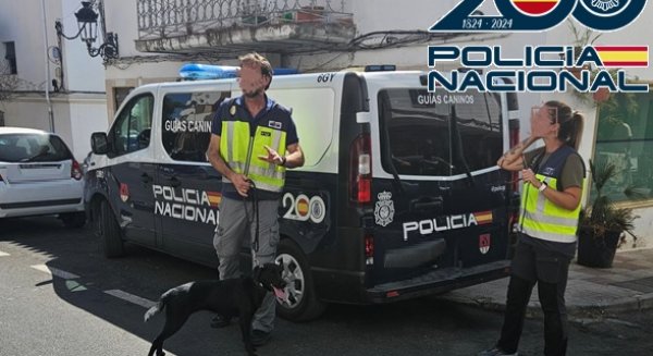 Desarticulado uno de los puntos de venta de drogas más activos de Estepona: incautadas más de medio millar de papelinas de cocaína
