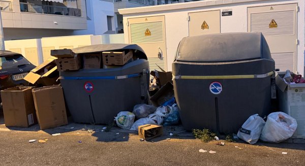 Vox denuncia en Marbella que la “dejadez absoluta” en materia de limpieza deja 'una imagen indigna de un destino turístico