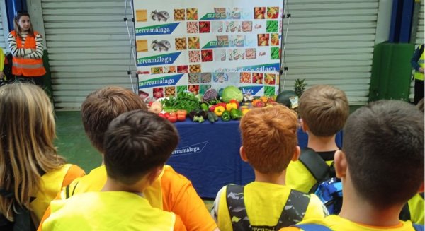 MERCAMÁLAGA abre el plazo de inscripción para  su Programa Educativo 2025-2026