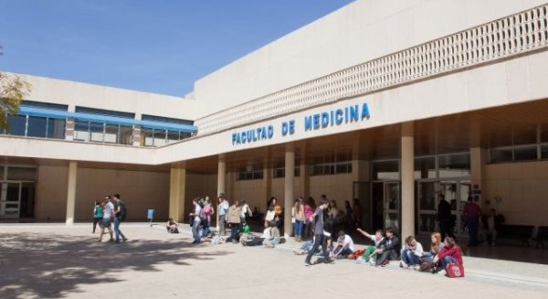 UMA.- El Claustro conoce distintos planes e informes de la política universitaria