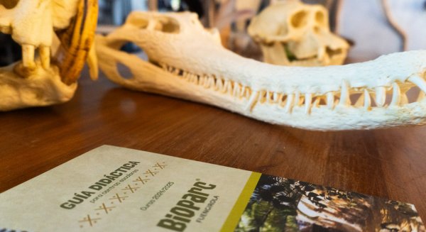 Bioparc Fuengirola arranca el curso con nueva oferta educativa tras recibir a más de 25.000 escolares el curso pasado