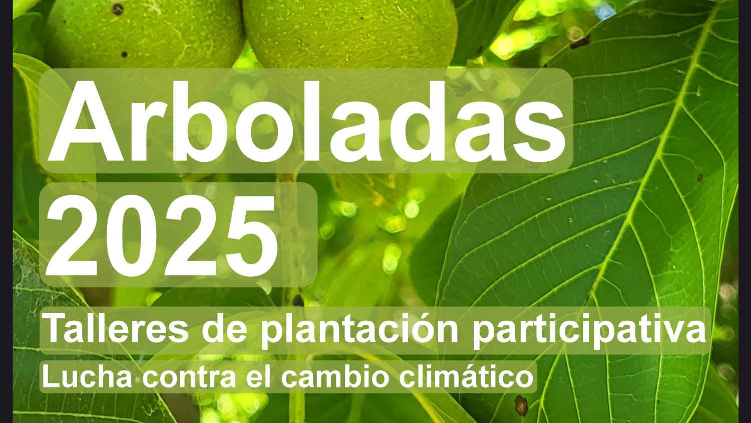 Las Arboladas de otoño se desarrollarán en un antiguo vertedero, un parque natural y embellecerán un área de turismo activo