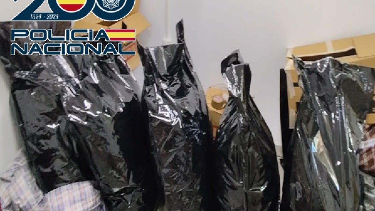 Desarticulado en Vélez-Málaga un entramado criminal dedicado al cultivo y exportación de marihuana con destino a países europeos