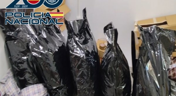 Desarticulado en Vélez-Málaga un entramado criminal dedicado al cultivo y exportación de marihuana con destino a países europeos
