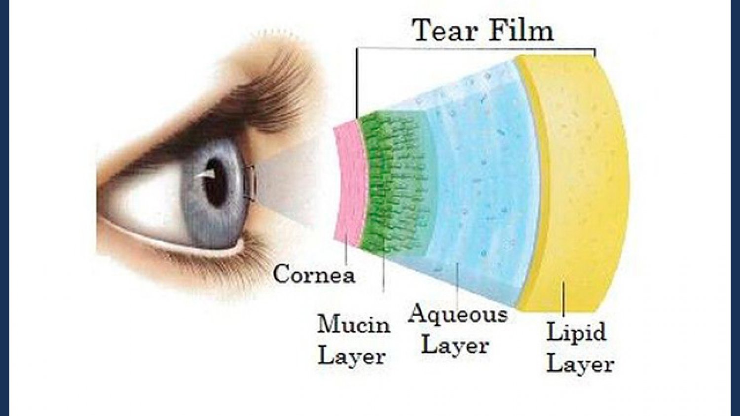 La UMA refuerza su liderazgo en biomarcadores oftalmológicos con su participación en una nueva red europea