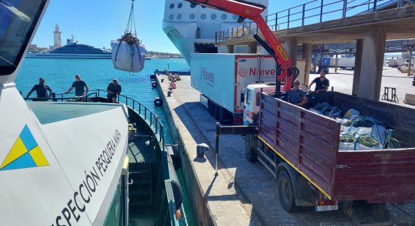 El Servicio de Inspección de Pesca de la Subdelegación del Gobierno en Málaga decomisa 450 alcatruces en 4 líneas