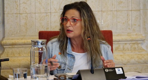 PSOE consigue el compromiso municipal para intervenir en colegios y gestionar el CAC de manera pública