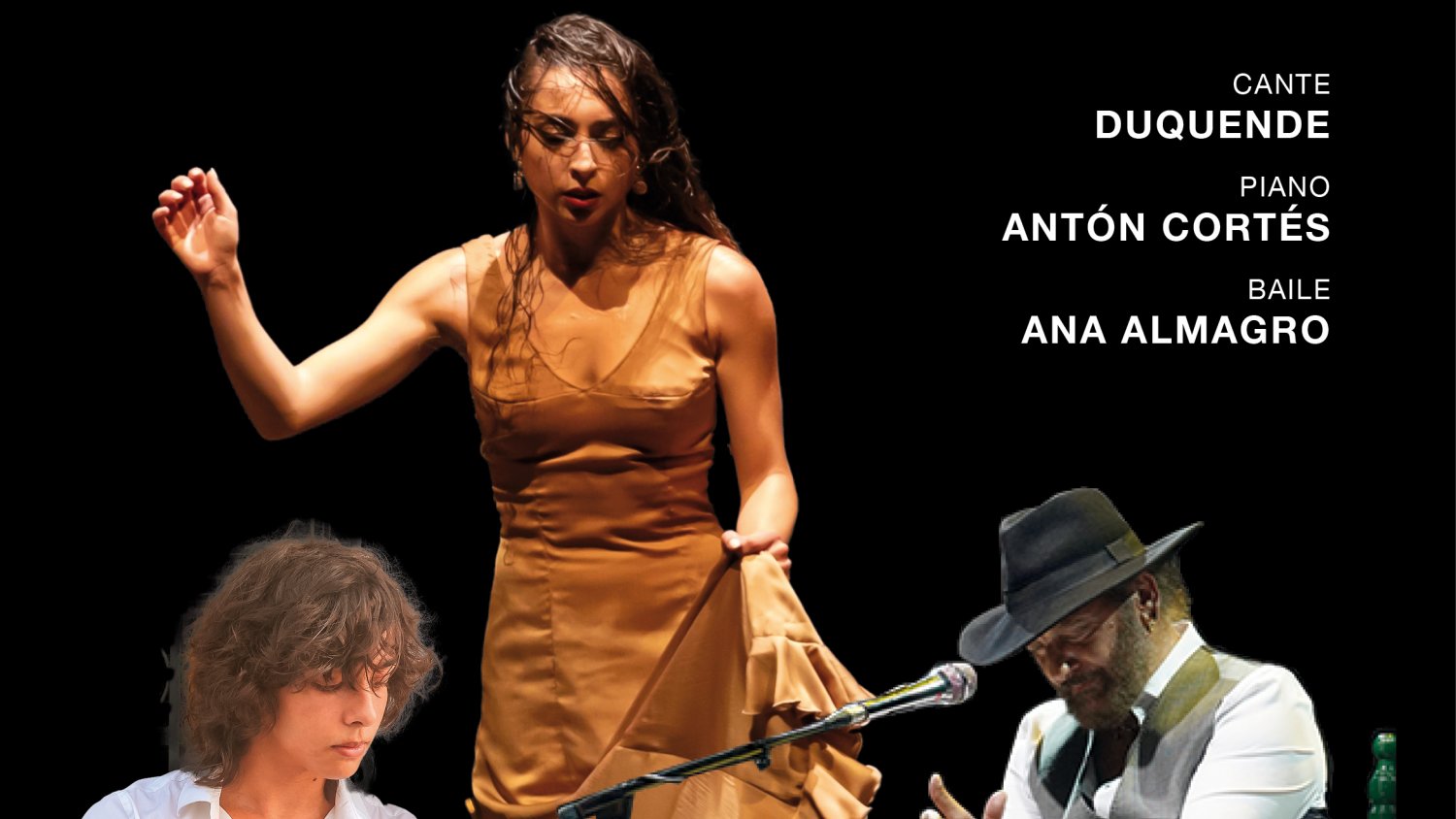 La Diputación reunirá a artistas destacados de la Bienal para celebrar el Día Internacional del Flamenco