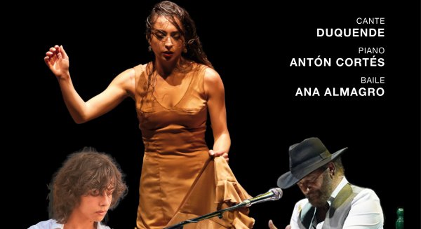 La Diputación reunirá a artistas destacados de la Bienal para celebrar el Día Internacional del Flamenco
