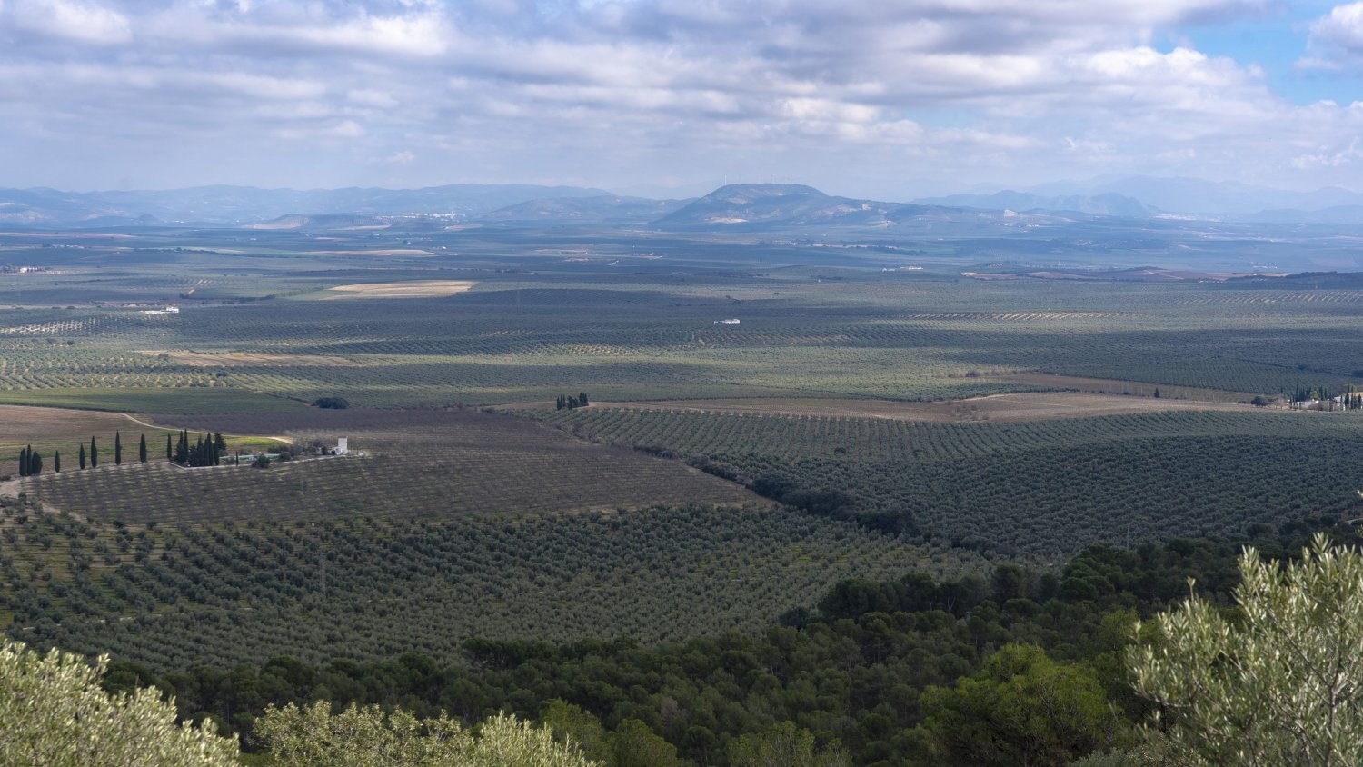 La Diputación lanza una nueva línea de ayudas de tres millones de euros para reforzar el sector agroalimentario, ganadero y pesquero