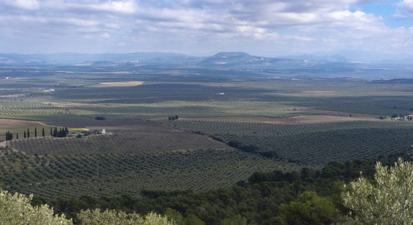 La Diputación lanza una nueva línea de ayudas de tres millones de euros para reforzar el sector agroalimentario, ganadero y pesquero