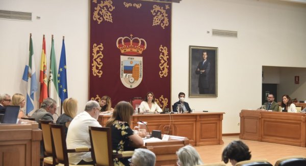 Torremolinos aprueba regular la concesión de ayudas para el tratamiento de menores con necesidades específicas
