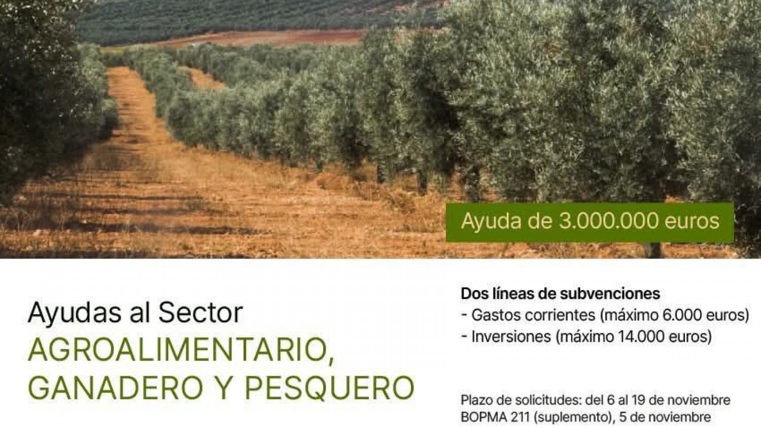 El Ayuntamiento de Torrox destaca las nuevas ayudas de la Diputación para impulsar al sector agroalimentario, ganadero y pesquero