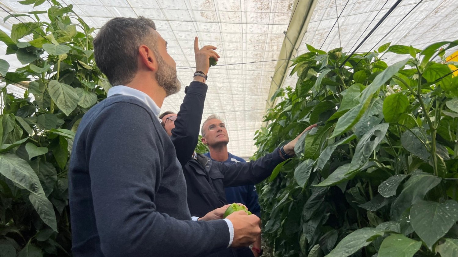 La Junta destina casi 33,5 M€ en ayudas para los titulares afectados por DANAs en Andalucía