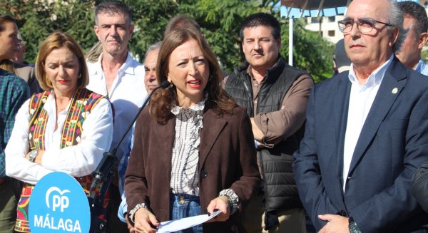   Navarro destaca que los usuarios habituales del trayecto Málaga-Estepona ahorrarían 2.000 euros