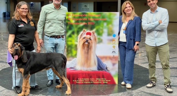 Cerca de 2.000 canes de 153 razas participan en Torremolinos en la feria internacional del perro