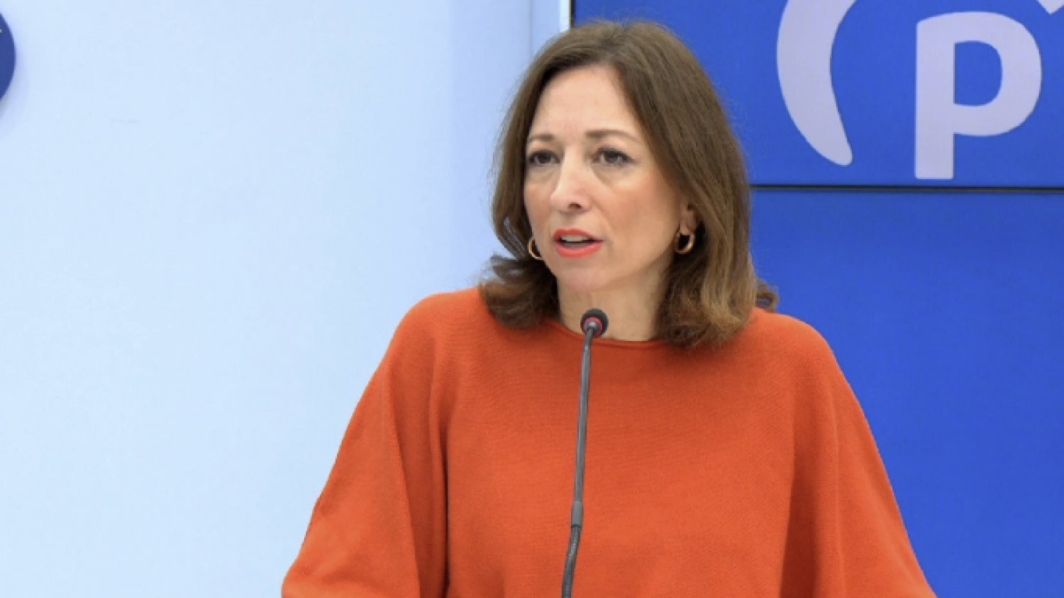 Navarro critica que el Gobierno trata de reducir el problema de la movilidad en la Costa del Sol a rifirrafe político para no bonificar la AP-7