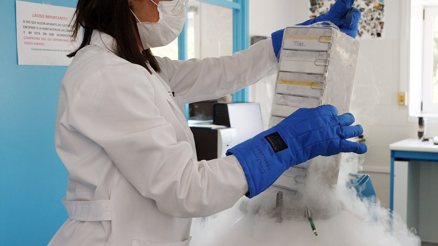 UMA.- La universidad obtiene 6,4 millones de euros de fondos para la investigación procedentes del Plan Nacional