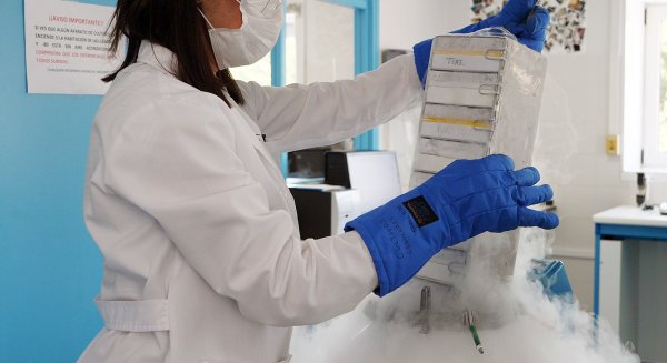UMA.- La universidad obtiene 6,4 millones de euros de fondos para la investigación procedentes del Plan Nacional