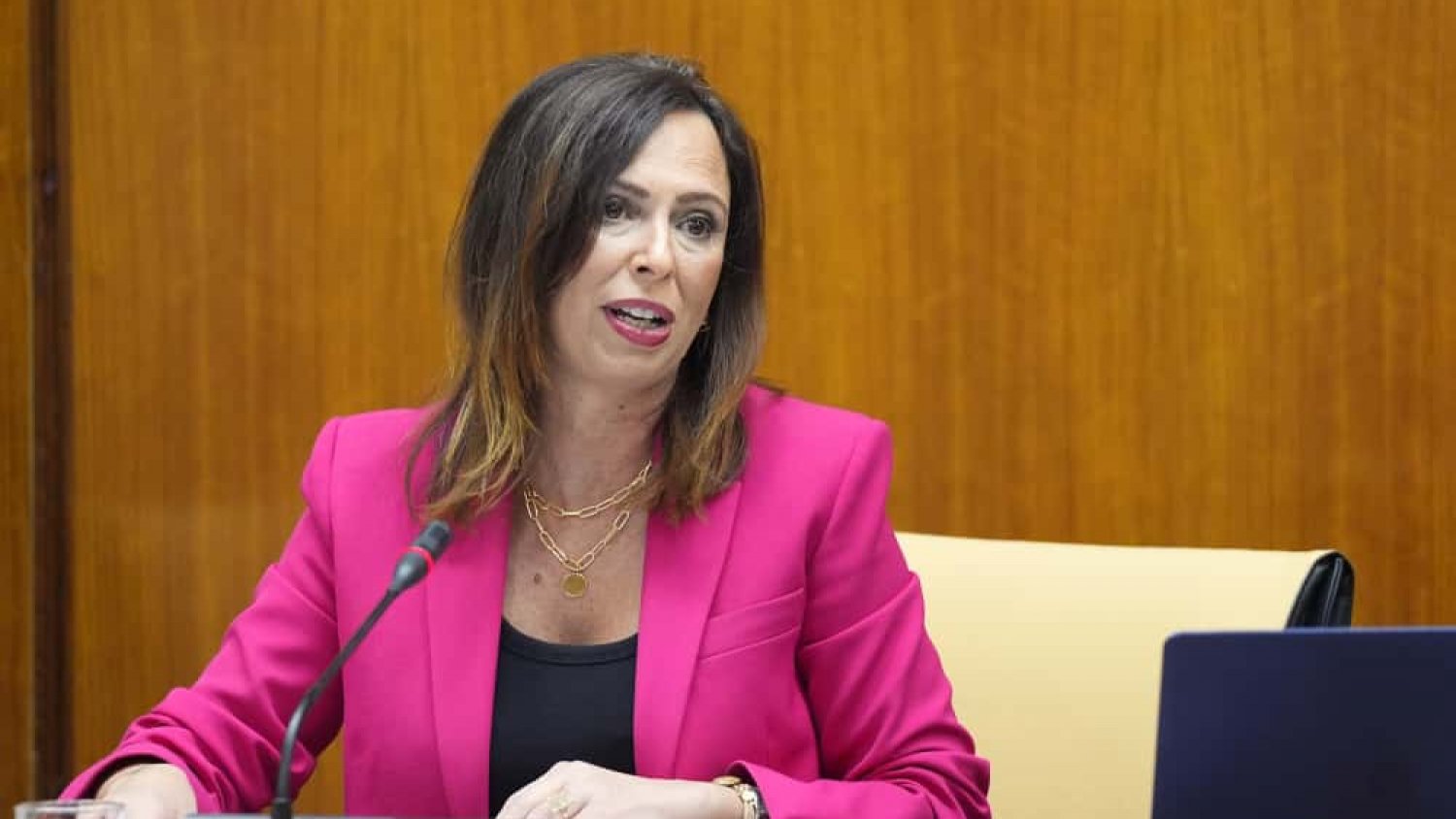 La Junta analiza 22 ofertas para el desdoble del eje Málaga-Campillos-Ronda entre Casapalma y Cerralba