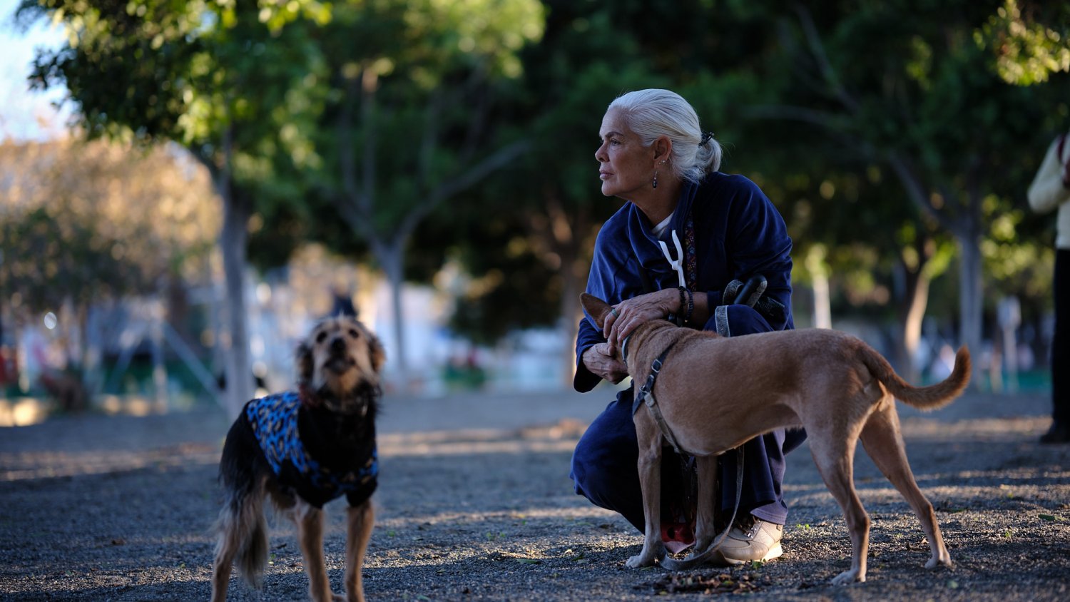 El Ayuntamiento pone en servicio un nuevo parque canino en el distrito Teatinos - Universidad