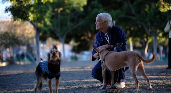 El Ayuntamiento pone en servicio un nuevo parque canino en el distrito Teatinos - Universidad