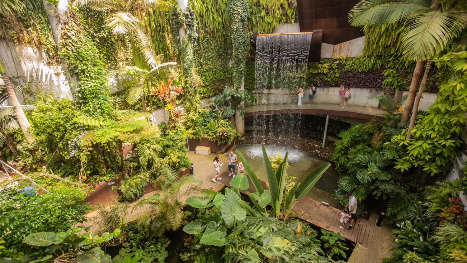 El Parque Botánico-Orquidario de Estepona cumple diez años con más de medio millón de visitas desde su apertura