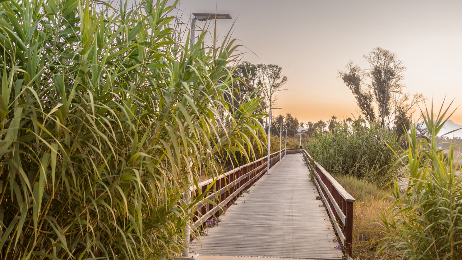 El Ayuntamiento de Estepona avanza en la fase final del corredor litoral y adjudica la construcción del tramo en Bahía Dorada 