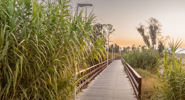 El Ayuntamiento de Estepona avanza en la fase final del corredor litoral y adjudica la construcción del tramo en Bahía Dorada 